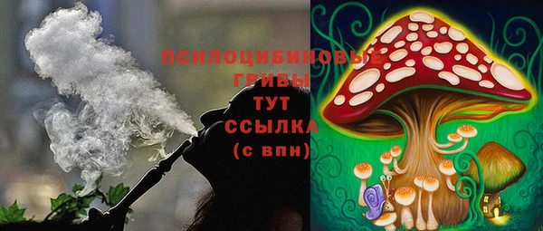 спиды Лагань