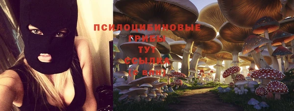 спиды Лагань