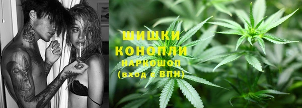 гидропоника Ладушкин