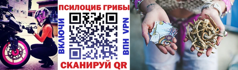 Купить  Пласт  Псилоцибиновые грибы ЛСД 